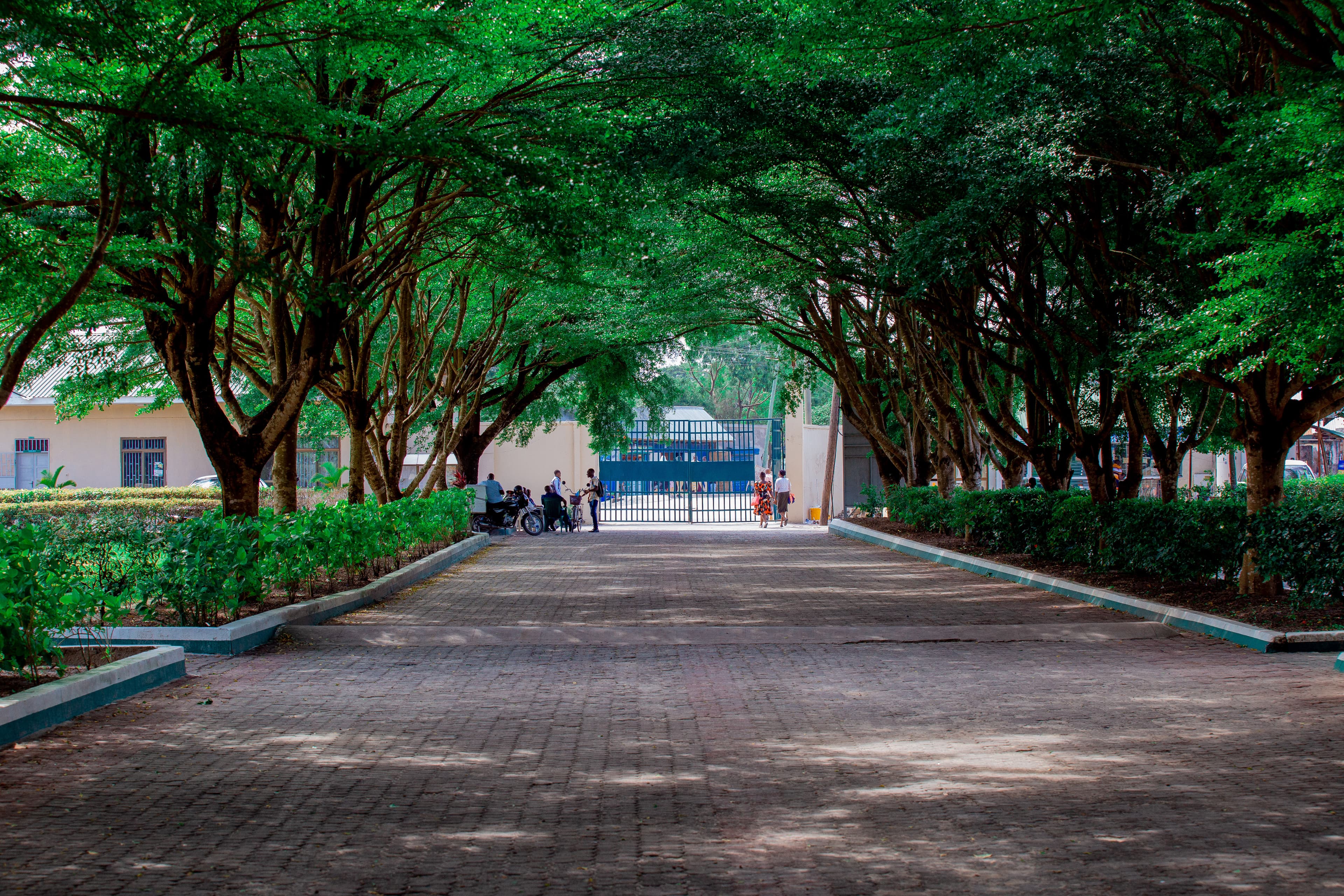 KIUT Campus