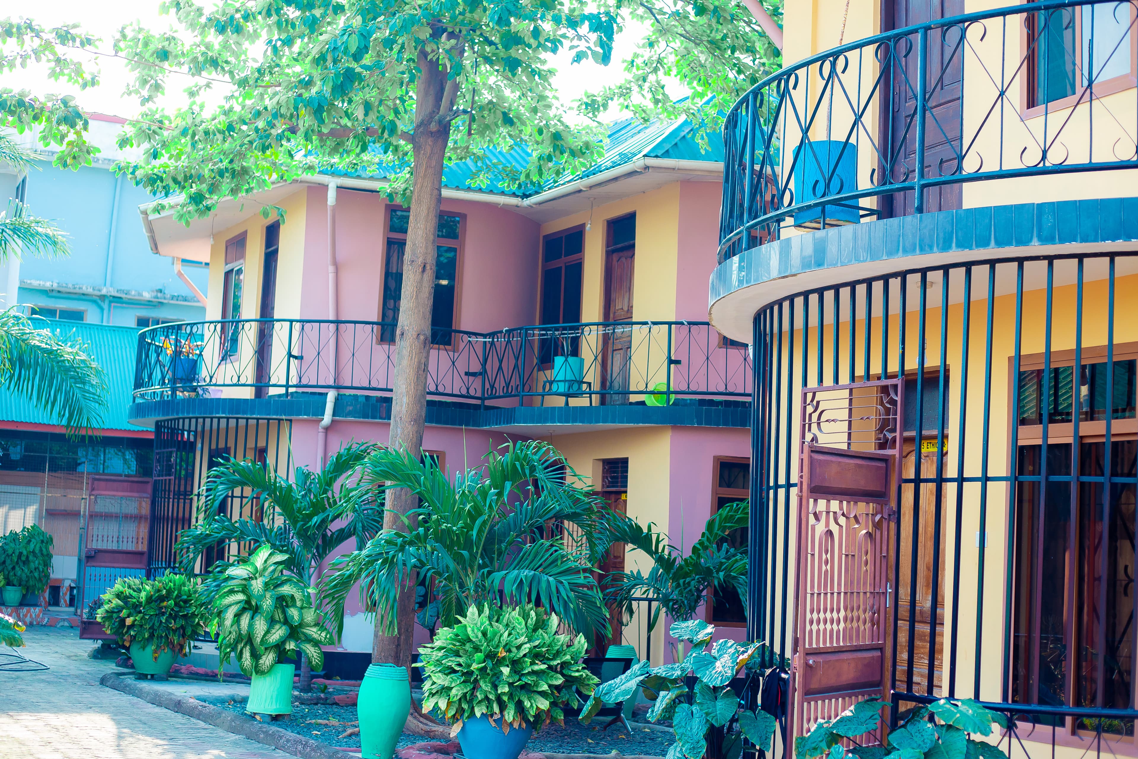 Green House Hostel